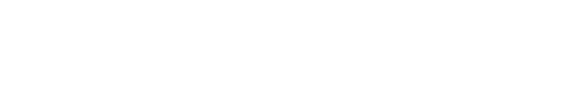 Masi Capacita